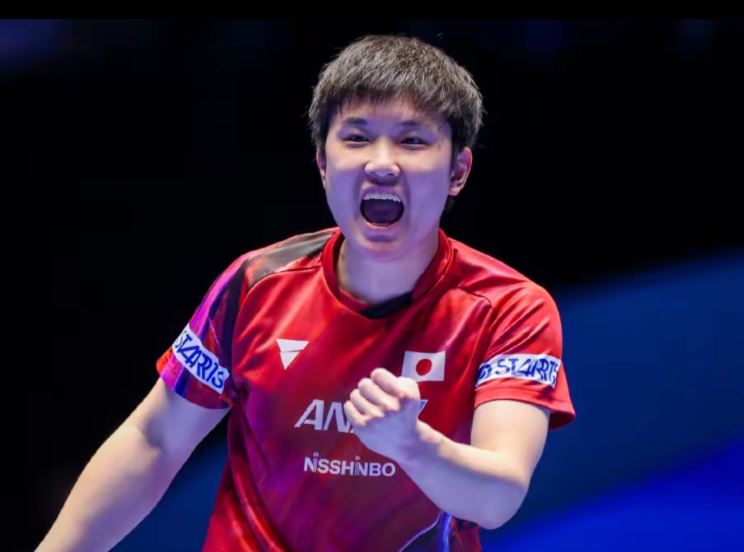 项目中凭借 项目中凭借