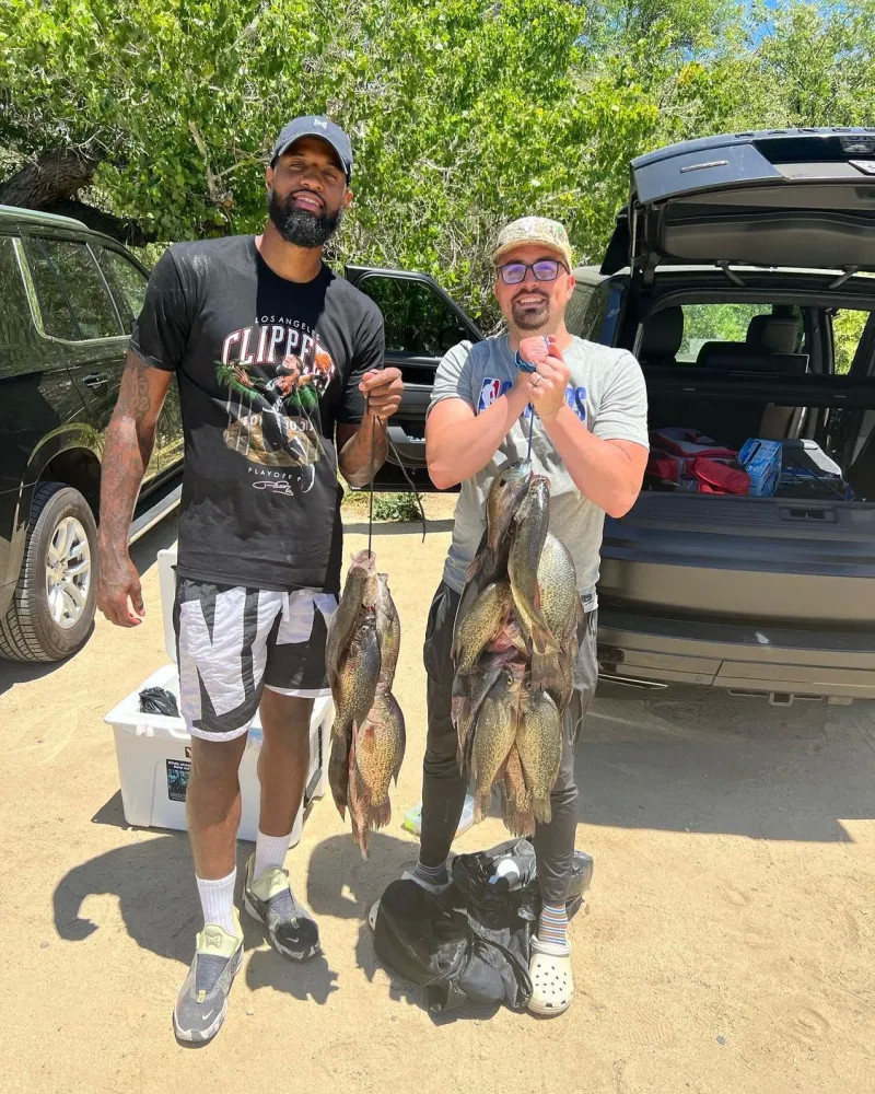 竞技状态 竞技状态